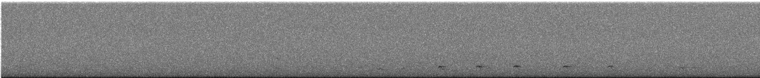 kulíšek trpasličí - ML635026109