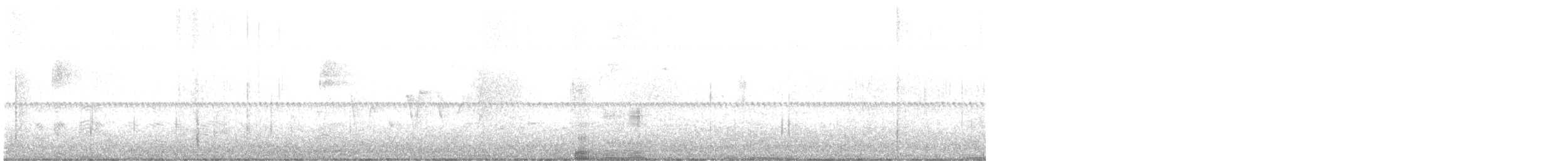 Connecticut Warbler - ML635026390