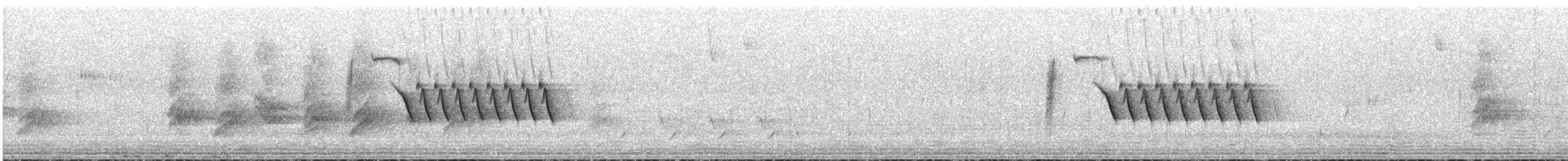 Bewick's Wren - ML635028722