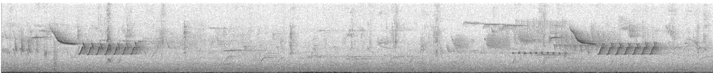 Bewick's Wren - ML635032675