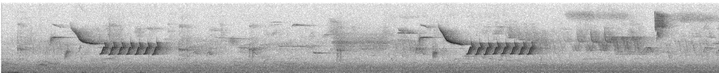 Bewick's Wren - ML635032682