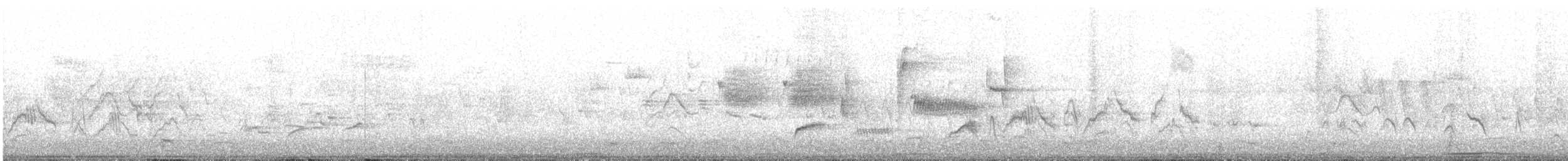 Swainson's Thrush - ML635033405