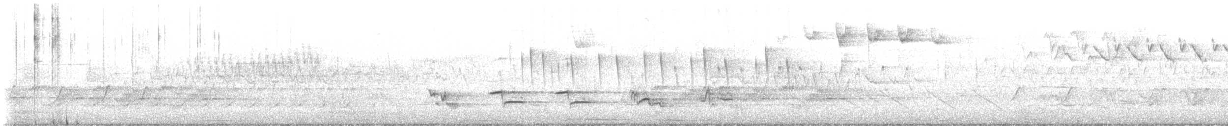 Blackpoll Warbler - ML635034108