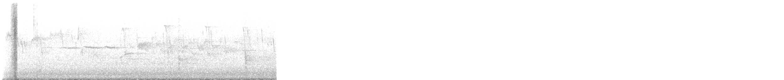 Black-throated Green Warbler - ML635034949