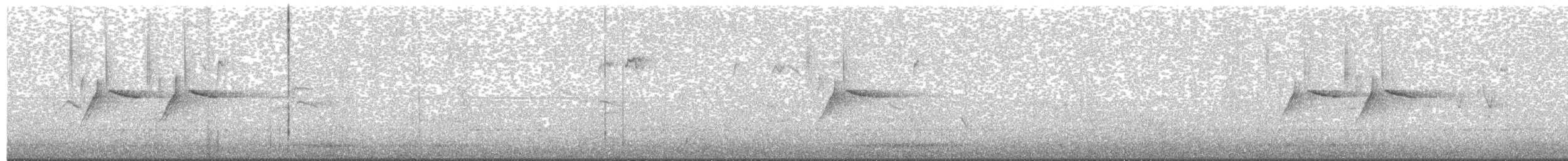 ירגזי שחור - ML635035165