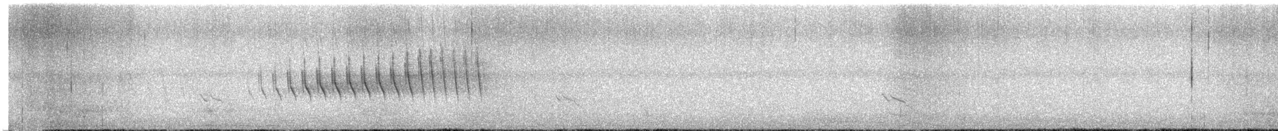 Grace's Warbler - ML635036573