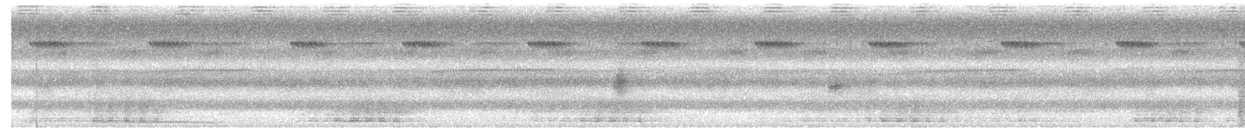 Chouette leptogramme - ML635036712