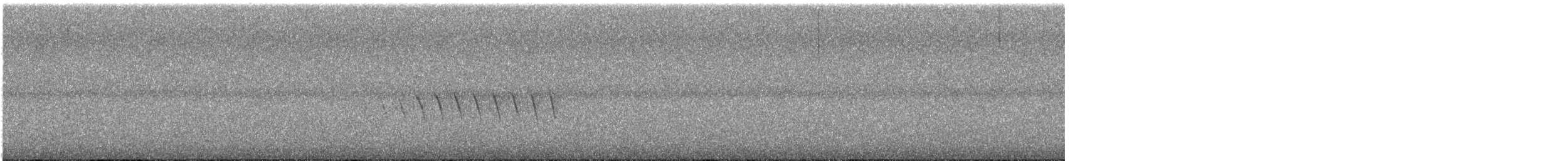 Grace's Warbler - ML635036823