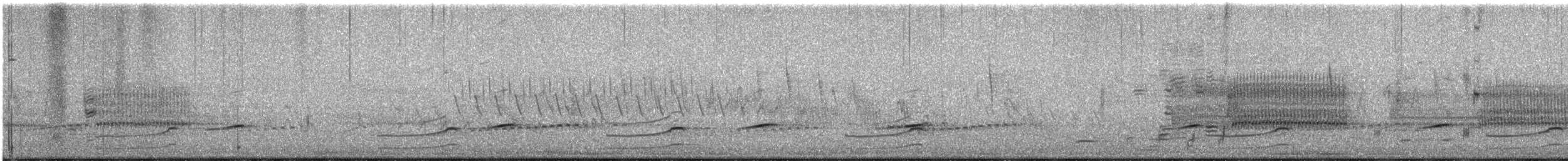 Sora uroilanda - ML635038153