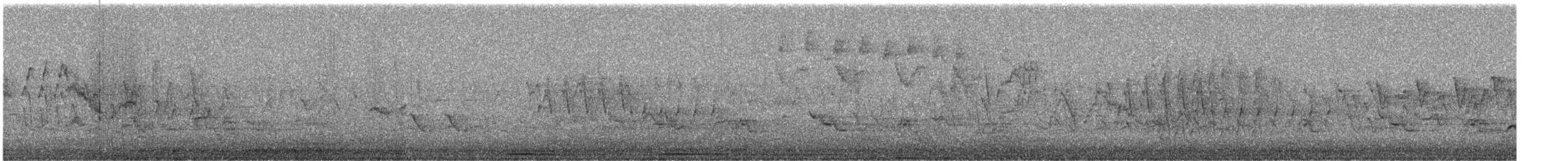 Gray-cheeked Thrush - ML635038652