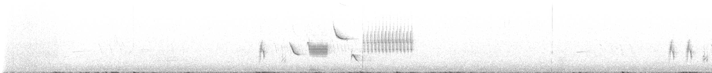 Тауї зеленохвостий - ML635039488