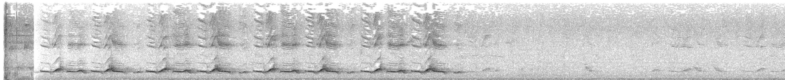 Spotted Wood-Quail - ML635040696