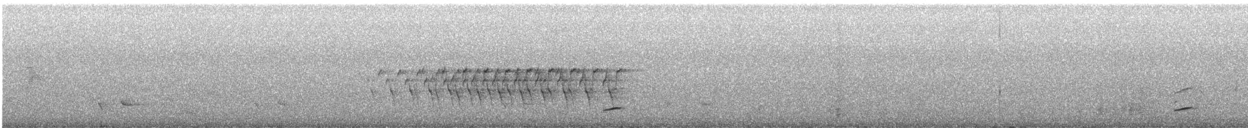 Amakihi familier (virens) - ML635040824