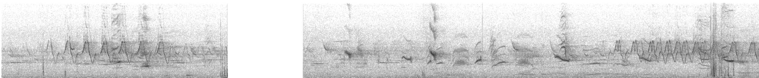 Amakihi familier (wilsoni) - ML635041933
