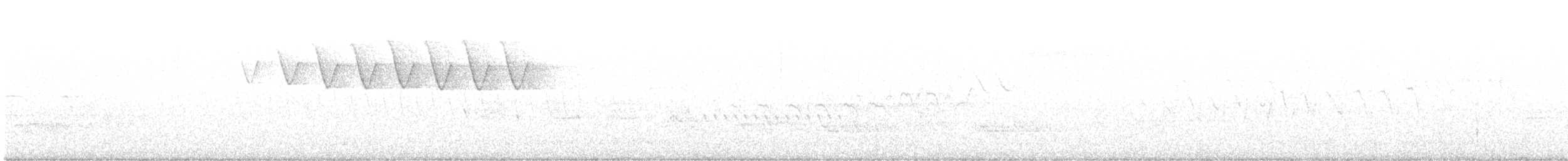 Black-and-white Warbler - ML635043288