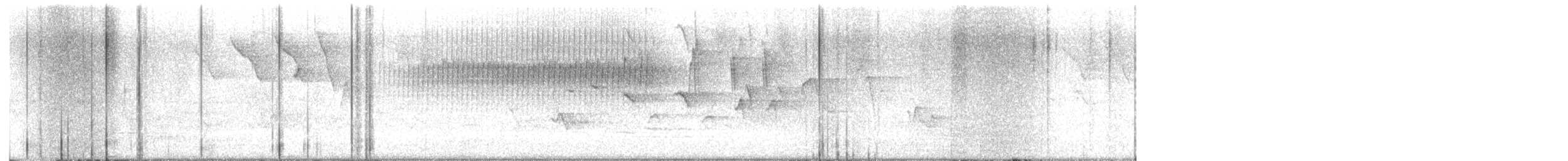 フタスジアメリカムシクイ - ML635043428