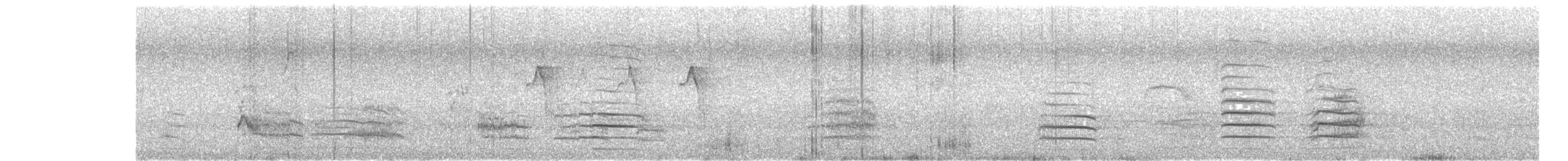 アカオクロオウム - ML635044208