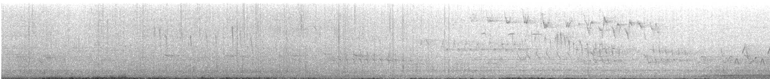 Blackpoll Warbler - ML635046661
