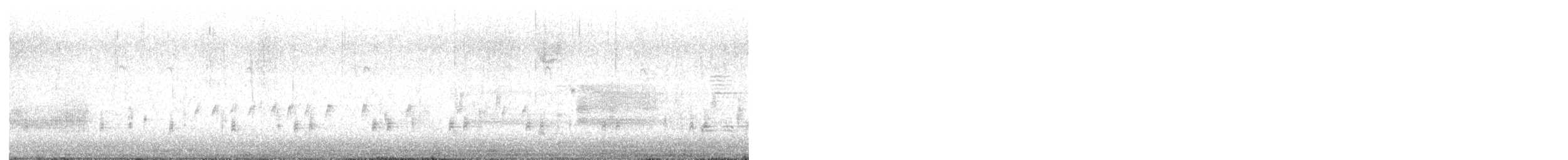 Virginia Rail - ML635048474