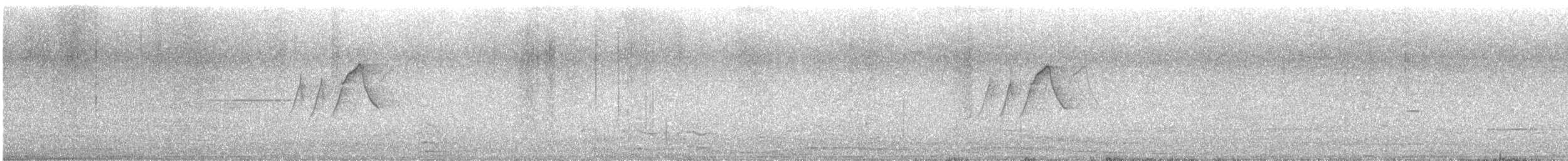 ユキヒメドリ（oreganus グループ） - ML635053949