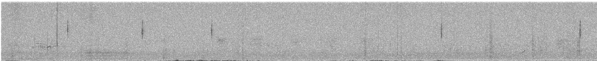 MacGillivray's Warbler - ML635056068