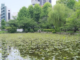 台東区--上野公園 (Taito Ward--Ueno Park), Taito City, Tokyo, Japan