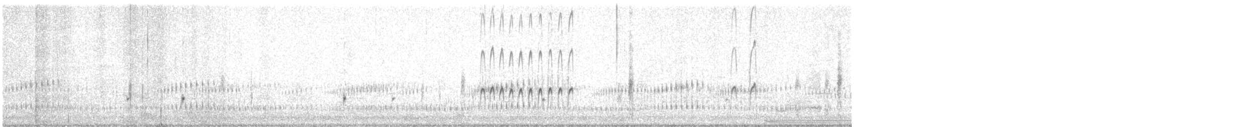 Long-billed Dowitcher - ML635068833