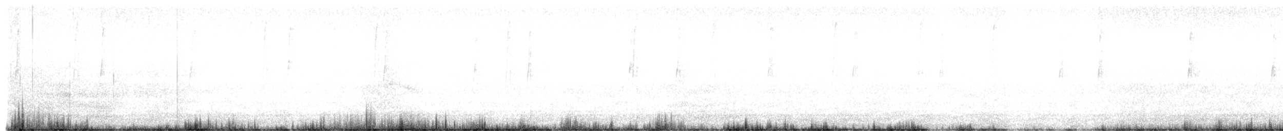 Colibri à flancs blancs - ML635069674
