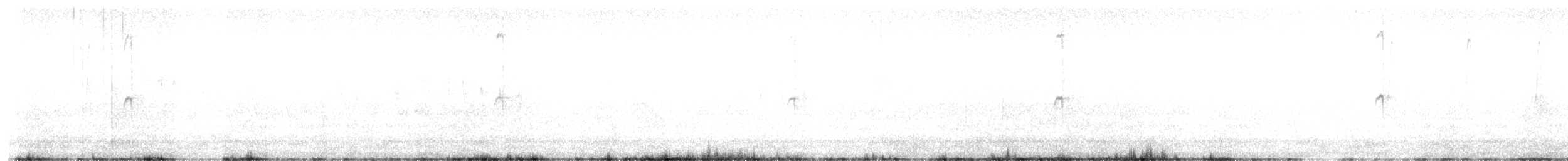 Koca Kolibri - ML635070701