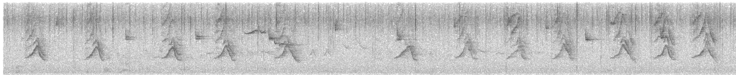Cassin's Finch - ML635073353