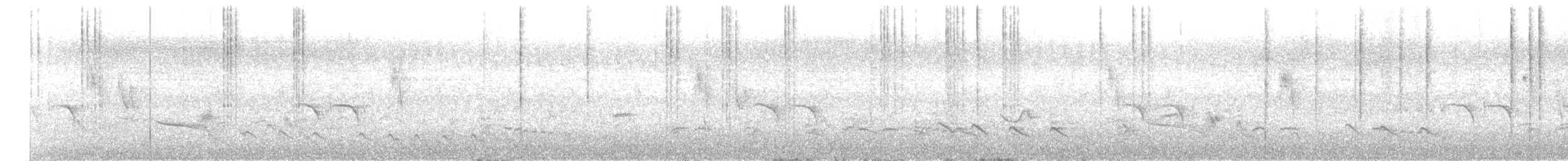 passerine sp. - ML635079269