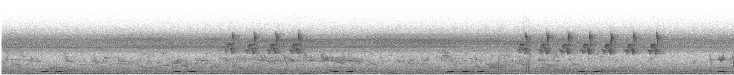 dudek chocholatý - ML635082004