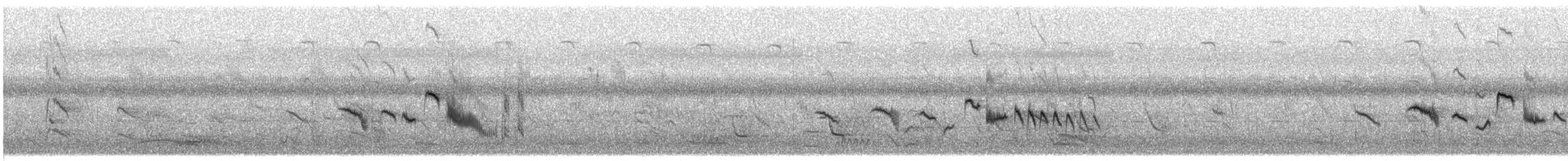 bramborníček černobílý - ML635082915