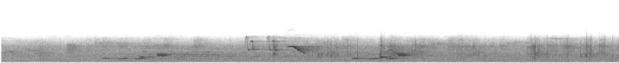 Indian Scimitar-Babbler - ML635082966