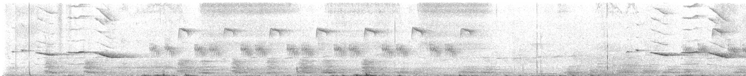 Black-winged Cuckooshrike - ML635083533