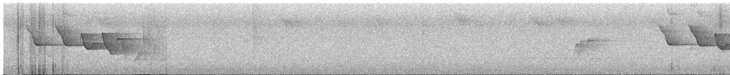 Louisiana Waterthrush - ML635084089