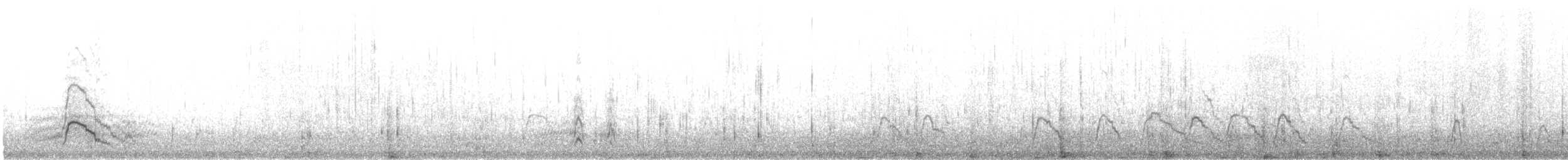 Eurasian Wigeon - ML635086523
