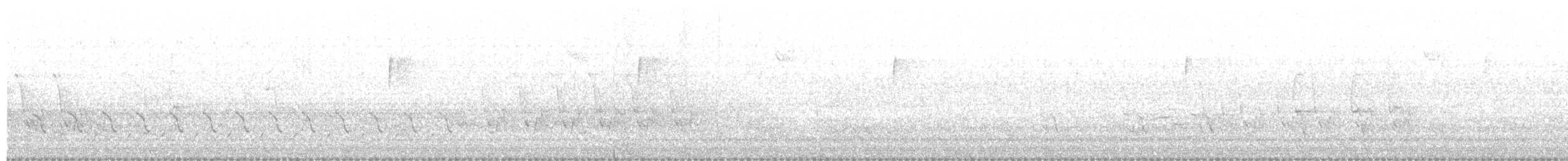 Бор шувууны багын тодорхойгүй зүйл - ML635087002
