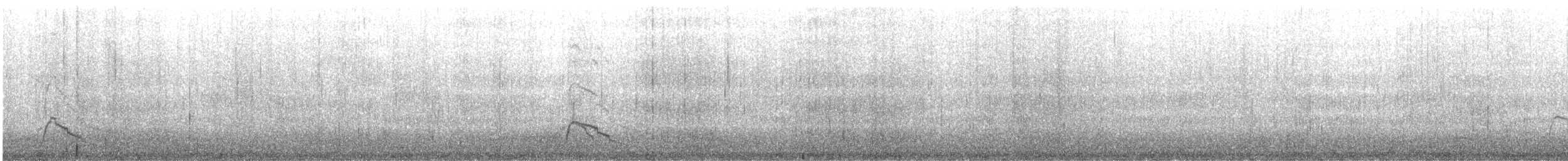 Eurasian Wigeon - ML635087316
