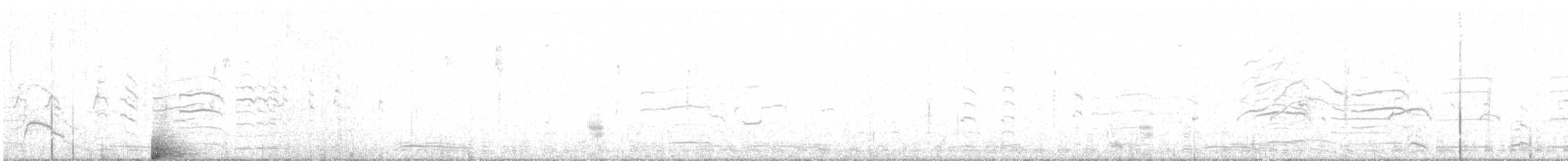 Eurasian Wigeon - ML635087512