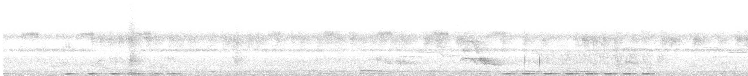 Greater Coucal (Southern) - ML635087558