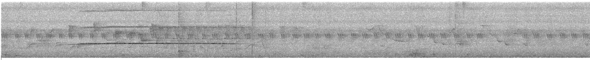 Aves sp. - ML635089775