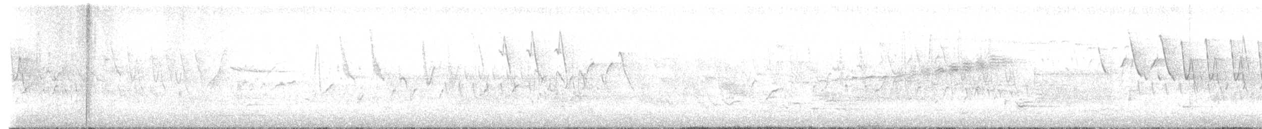 Prairie Warbler - ML635092426