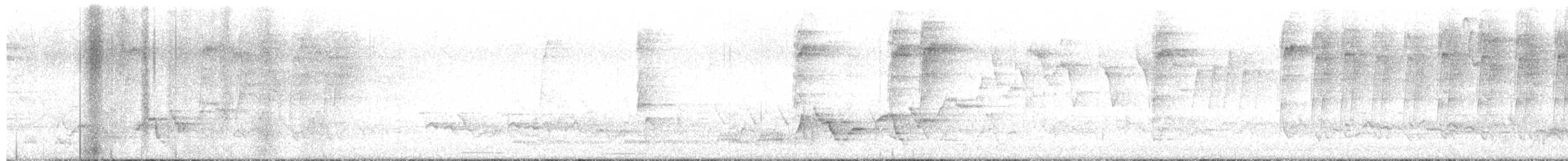 Swainson's Thrush - ML635093620