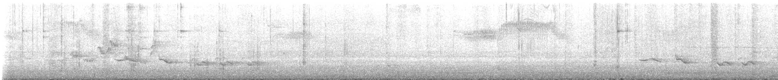Warbling Vireo - ML635093874