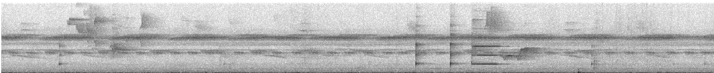 Club-winged Manakin - ML635095541