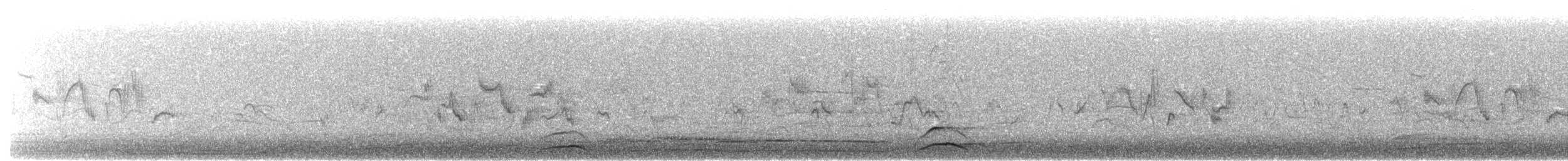 Little Owl (Little) - ML635099948