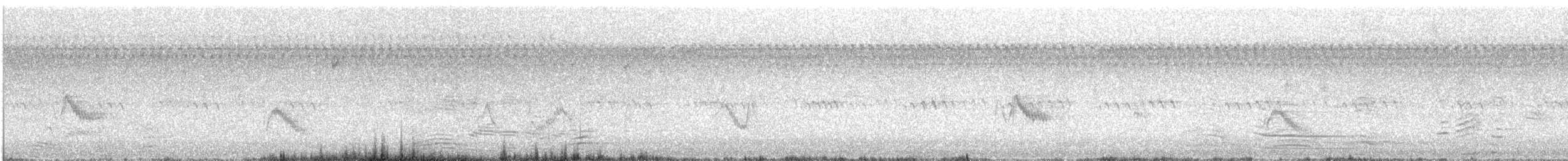 Plumbeous Vireo - ML635100850