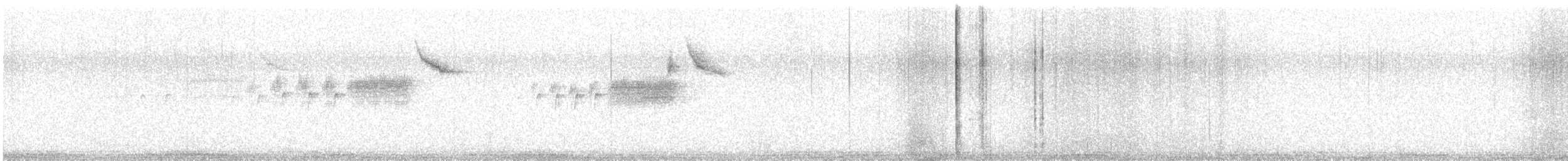 Golden-cheeked Warbler - ML635102671