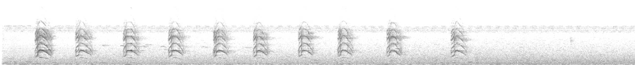 Chara Cerúlea - ML635103751